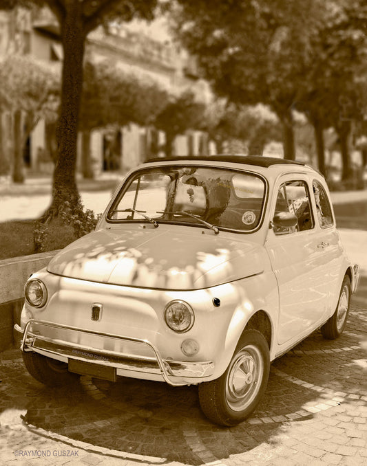 The Bambino 11x14 Giclee Print